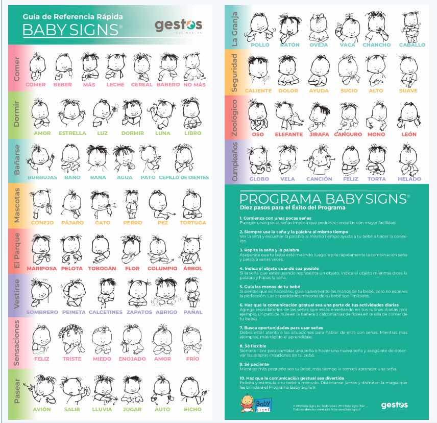 Pack de 2 Guías de Referencia Rápida DIGITAL Español e Inglés