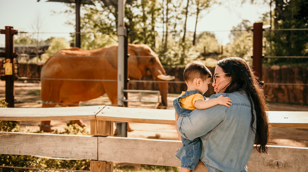 Taller Mis Gestos de ZOOLÓGICO con MARIANA BLANC