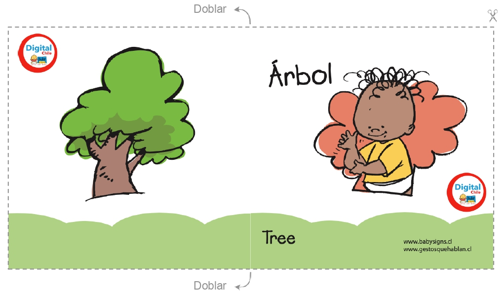 Tarjetas de Conceptos Set 1 -