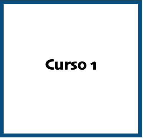 Curso Tipo 1 categoría 1